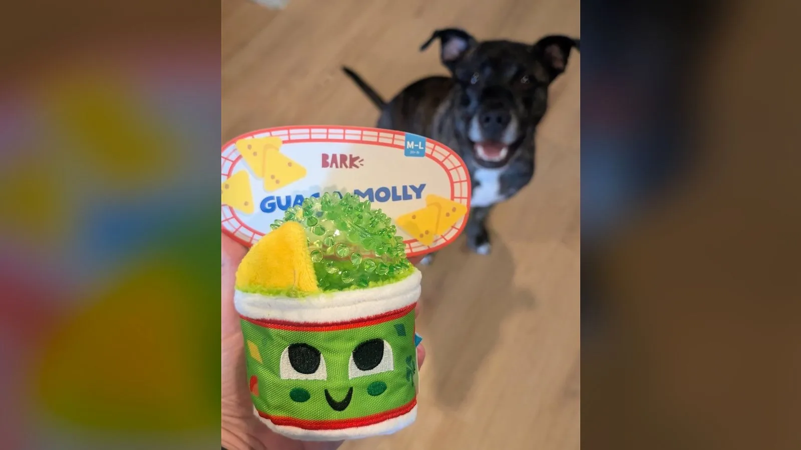 BARK Guac 'a Molly guacamole plush BarkBox toy held up with a happy dog watching