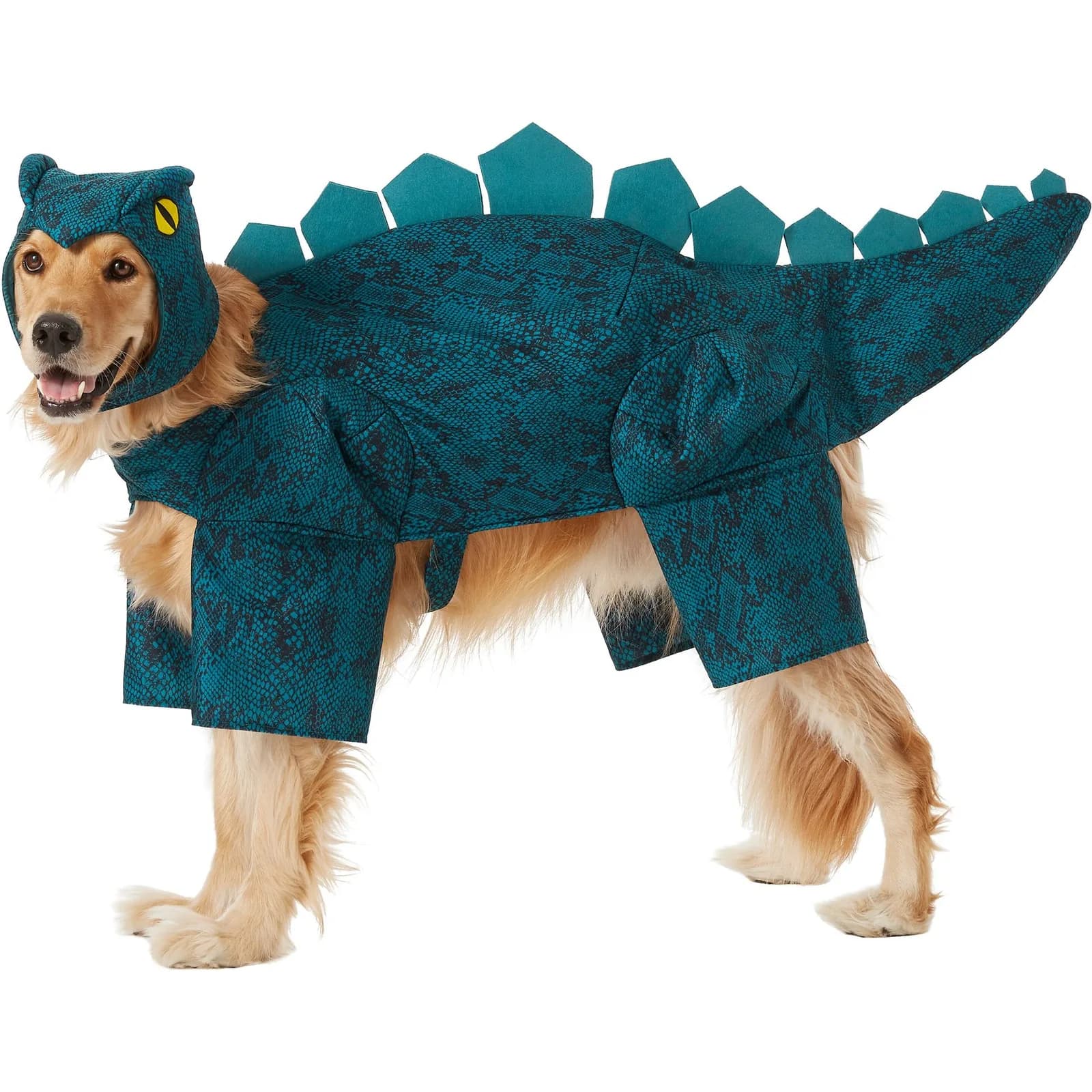 Dog wearing the XX-Large teal Frisco Stegosaurus costume