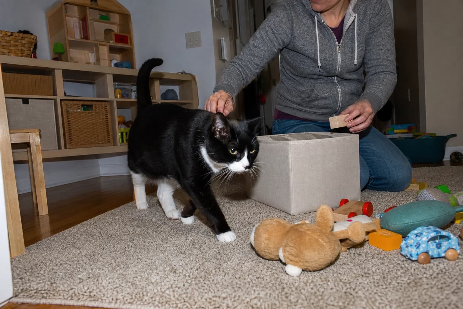 A tuxedo cat walks into the middle of a caregiver's playroom cleanup.