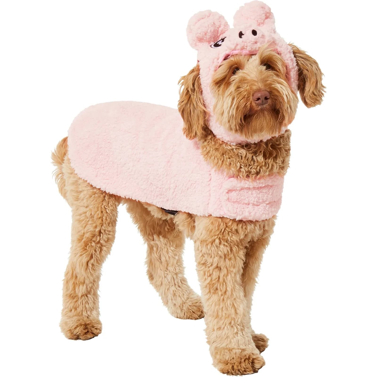 Tan dog wearing the Frisco pig costume