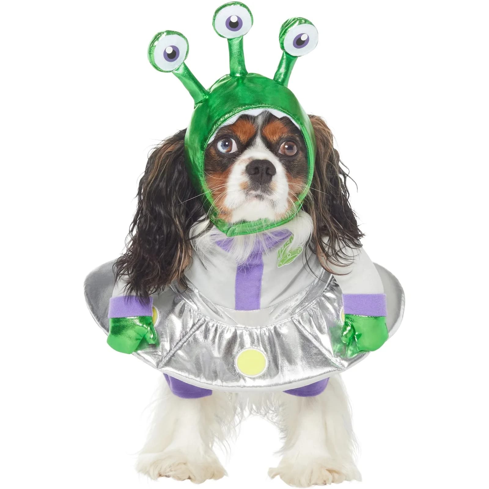Dog wearing the Frisco front-walking alien costume