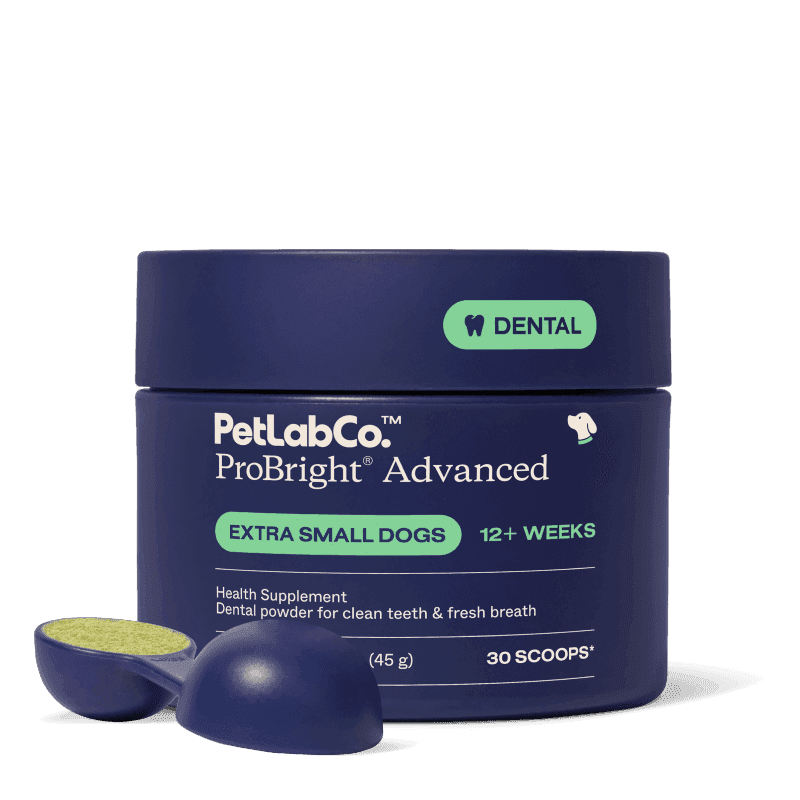 PetLabCo. ProBright Advanced dental powder tub