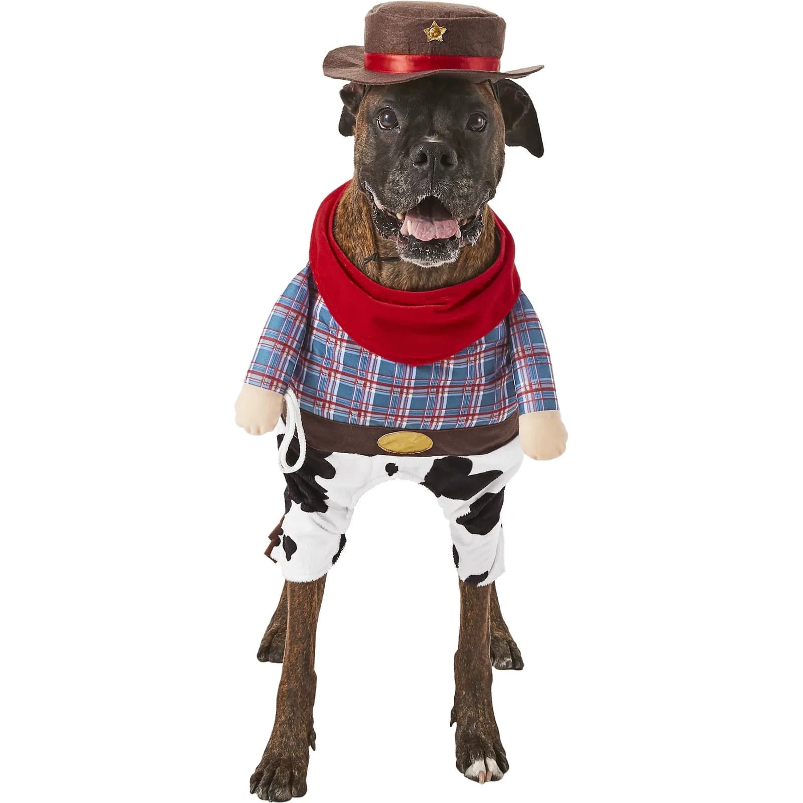 Dog wearing a Frisco front-walking cowboy costume