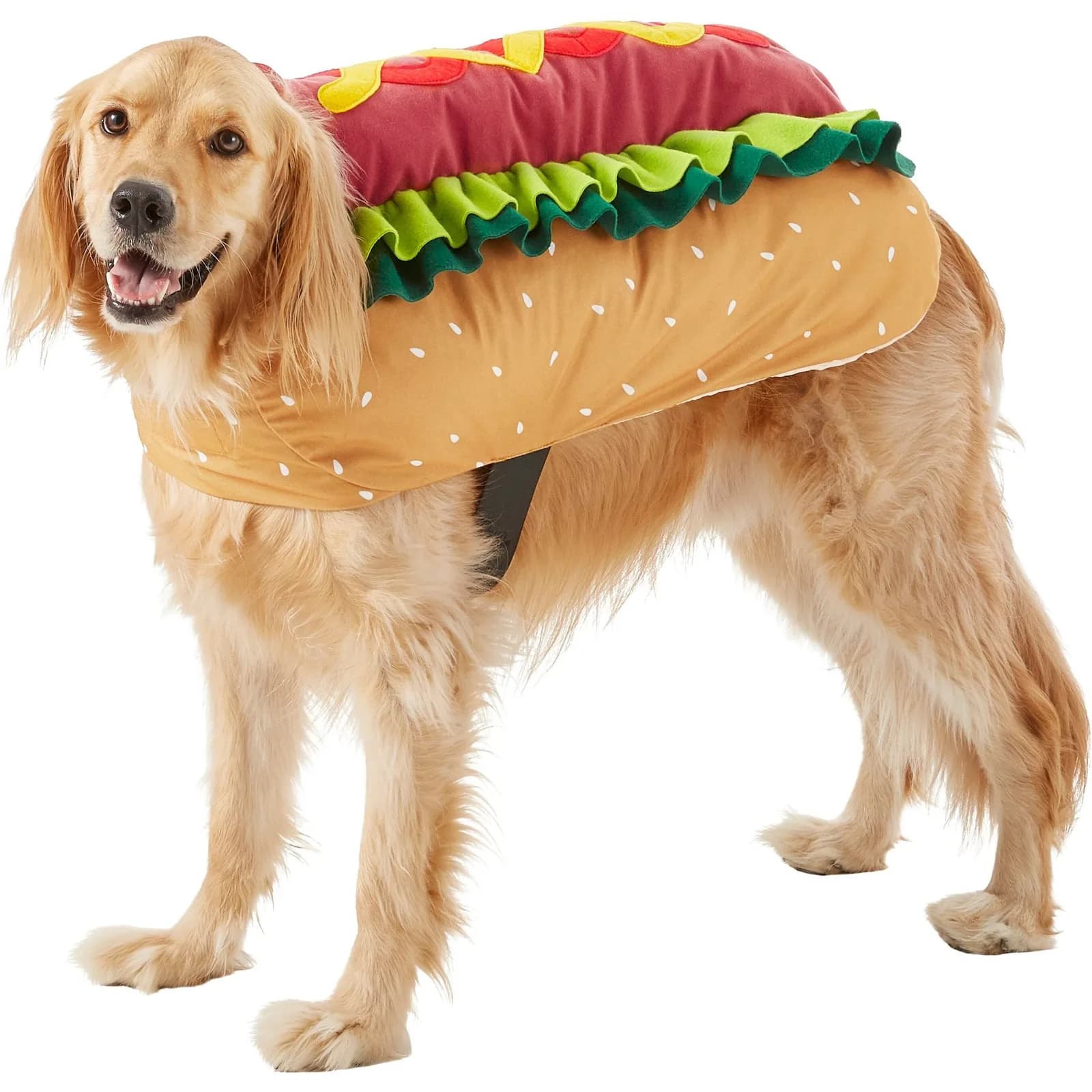 Golden dog wearing the Frisco hot dog costume