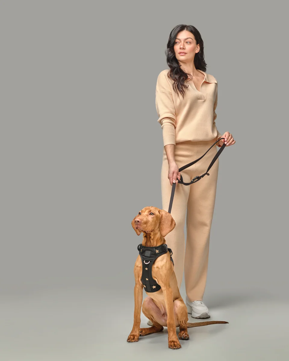 A DOGISTRY-supplied photo of an owner walking a small dog in DOGISTRY gear