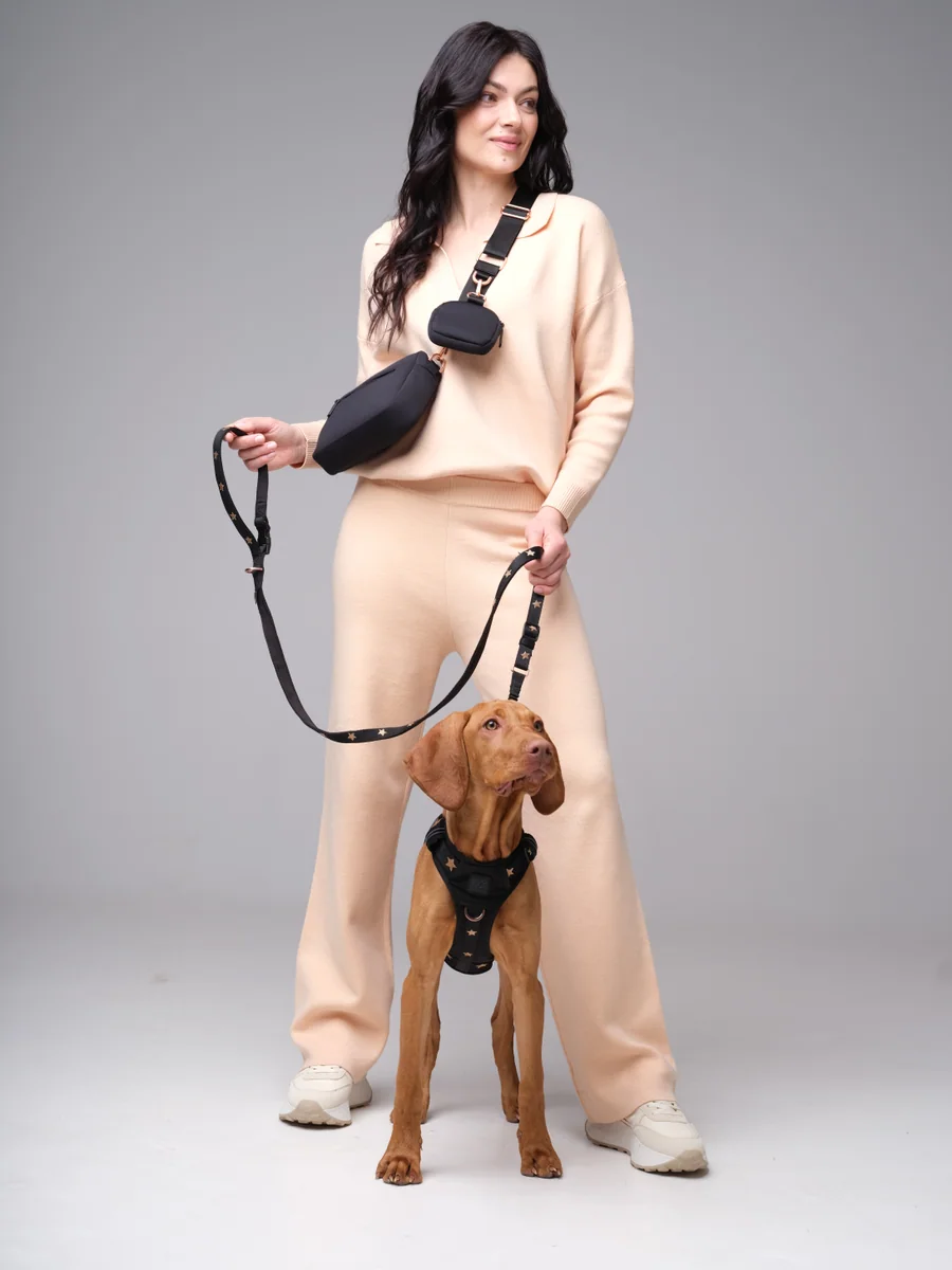 An owner practicing a loose-leash position with a small dog