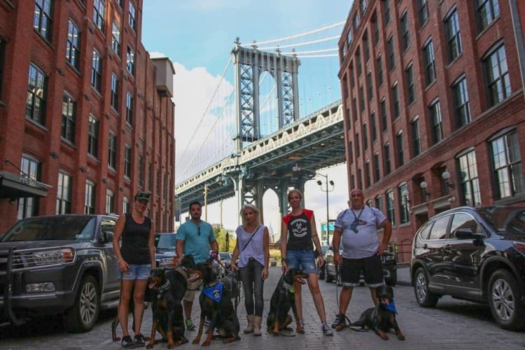 DGNYC by Allison