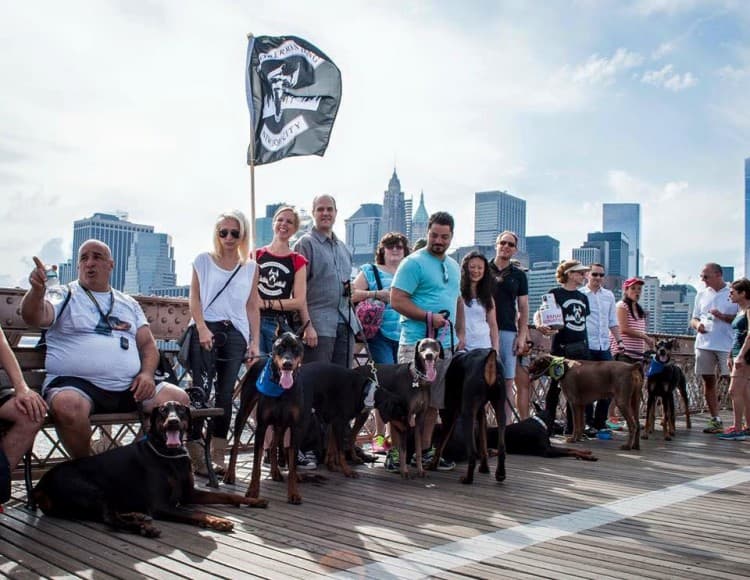 Dog groups create friendships and support the community.