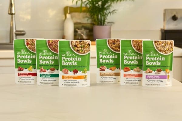 Shelf-stable fresh dog food in a resealable pouch on a kitchen counter