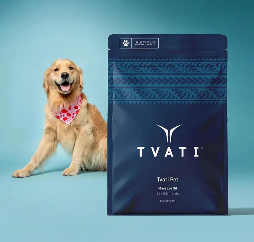 Golden Retriever sitting beside a Tvati Pet Daily Mobility Formula massage oil pouch