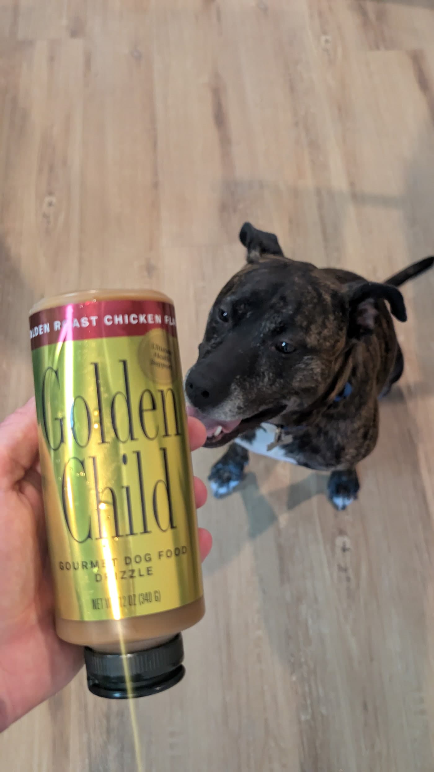 Golden Child Golden Roast Chicken Drizzle bottle held beside a brindle dog