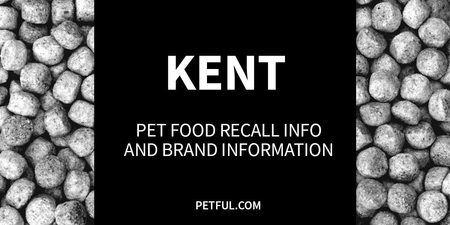 kent recall image