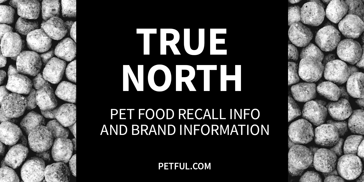 true north recall image