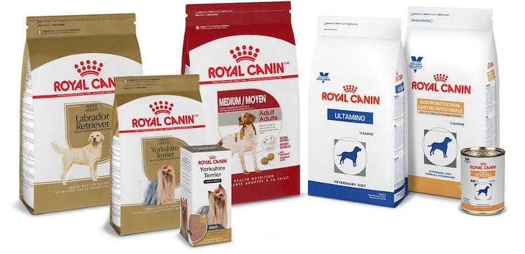 Photo of Royal Canin dog foods