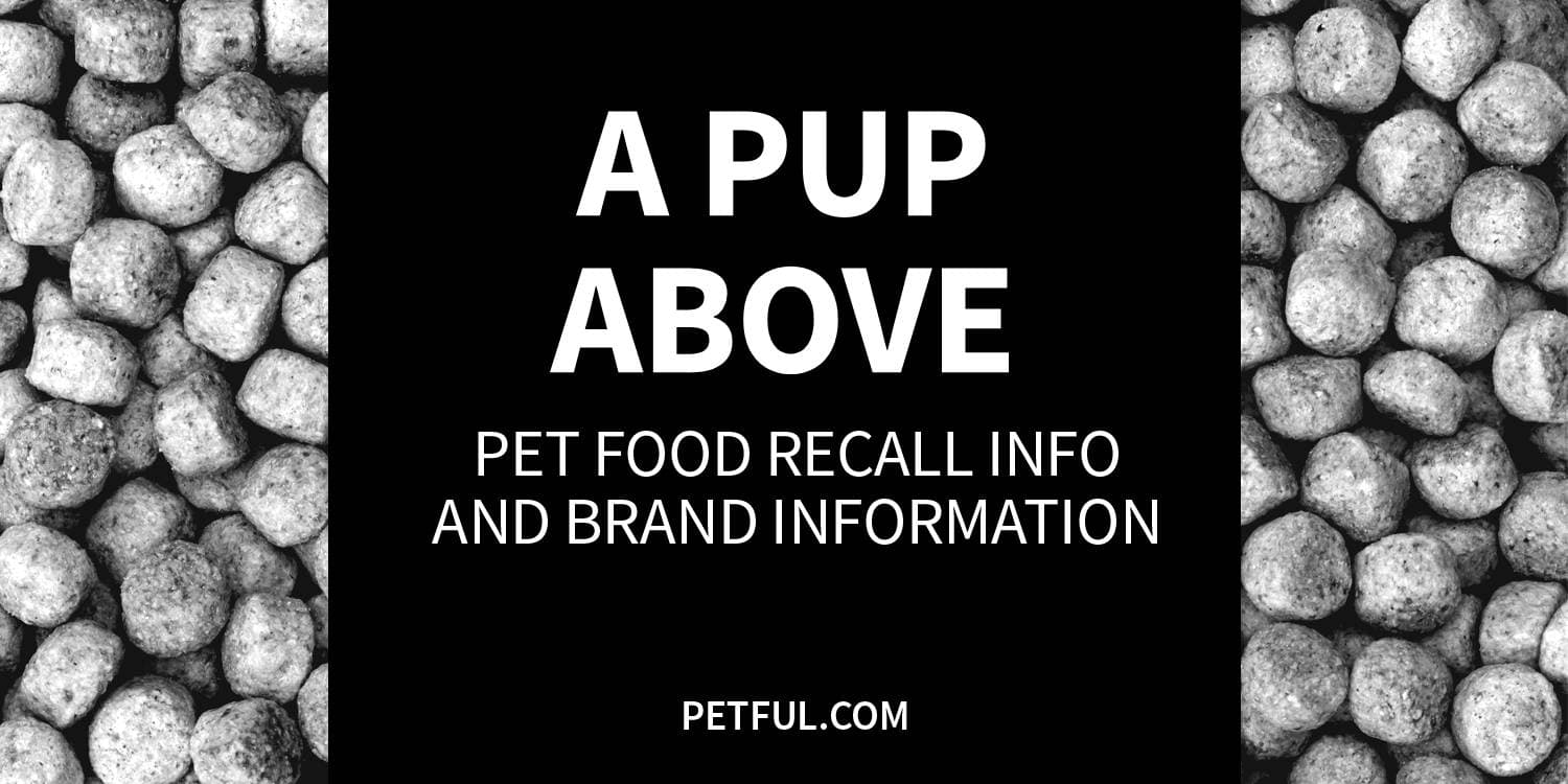 a pup above recall image