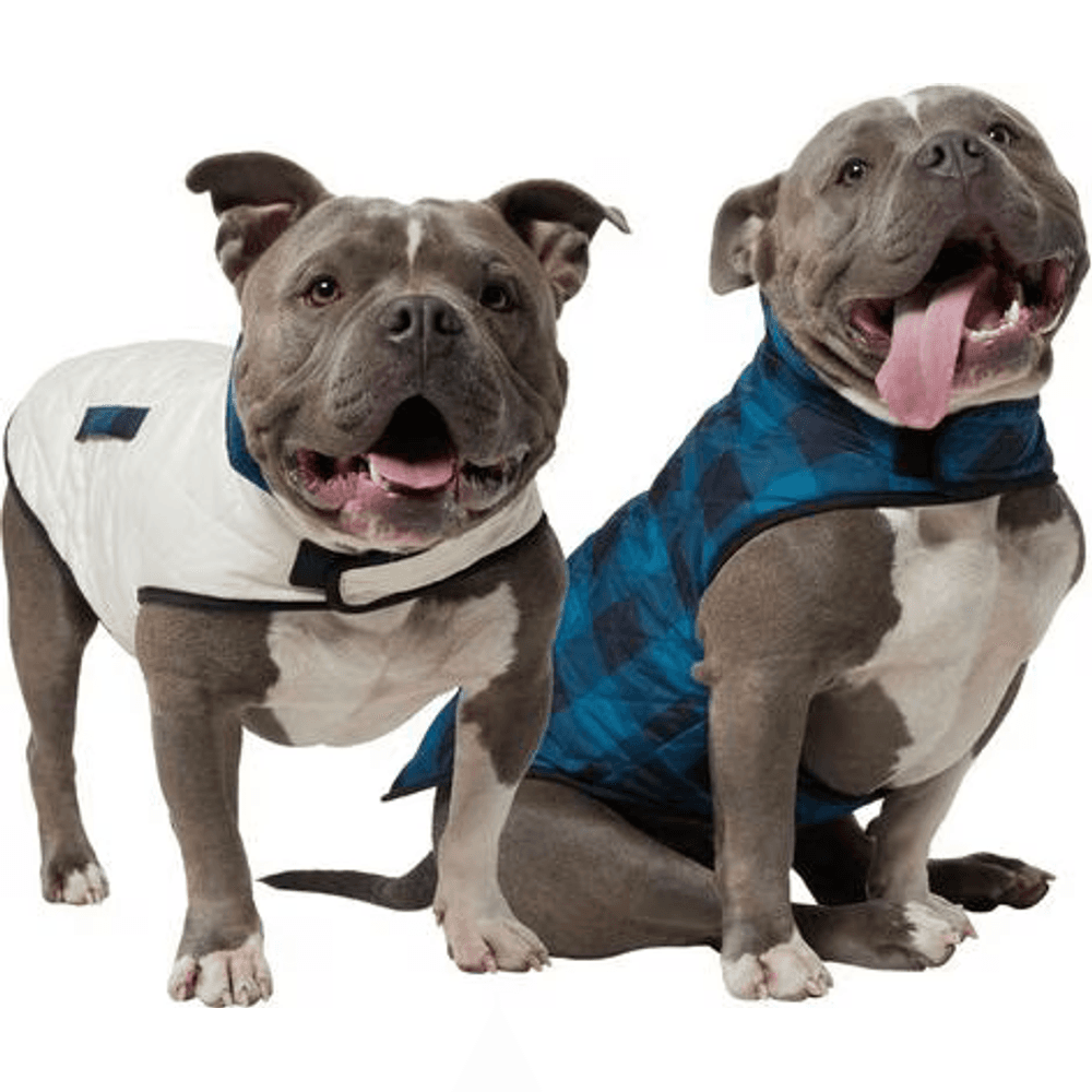 Frisco lightweight quilted water-resistant reversible insulated dog jacket in navy and black worn by two dogs