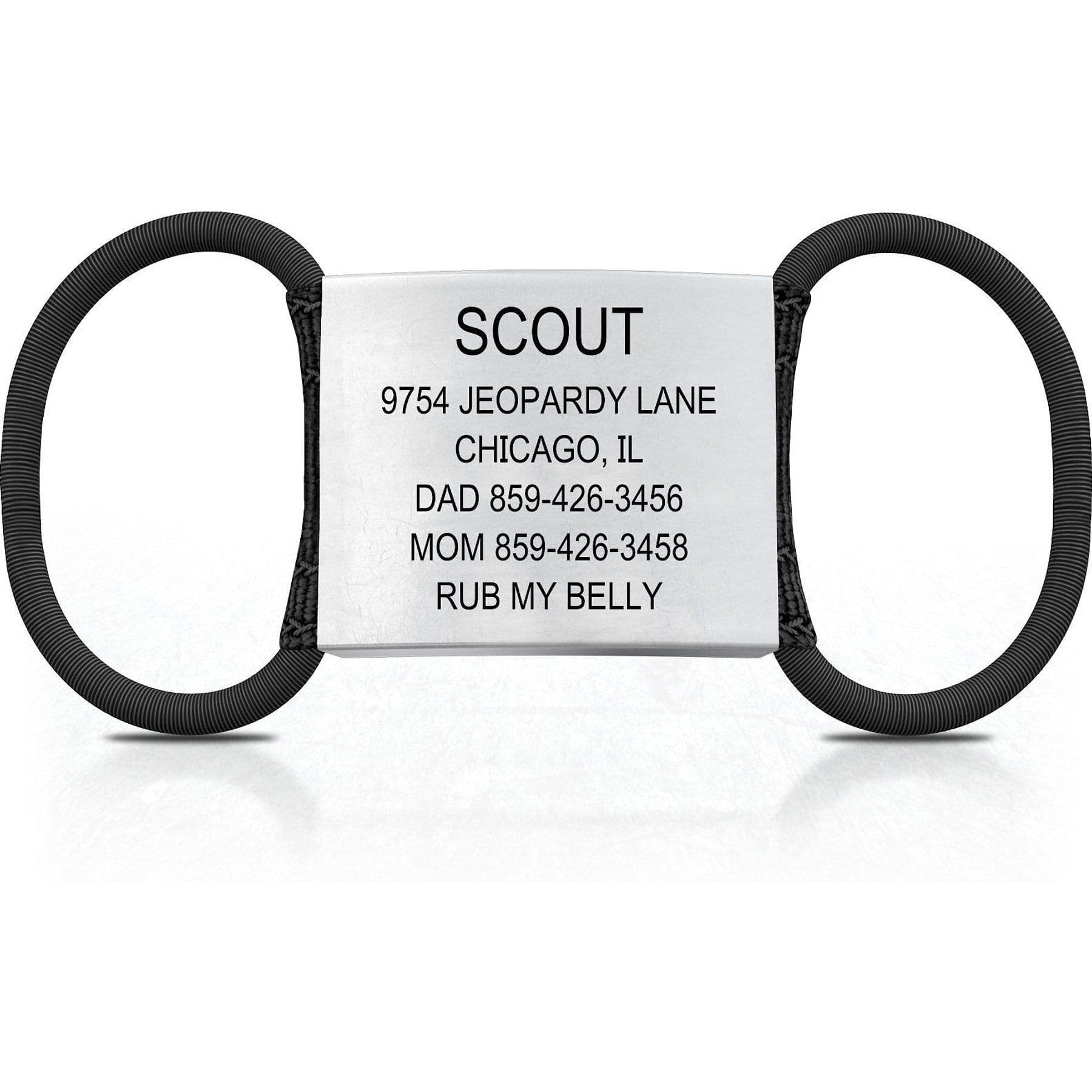 DOG iD Personalized Dog ID Tag, Slate, X-Large