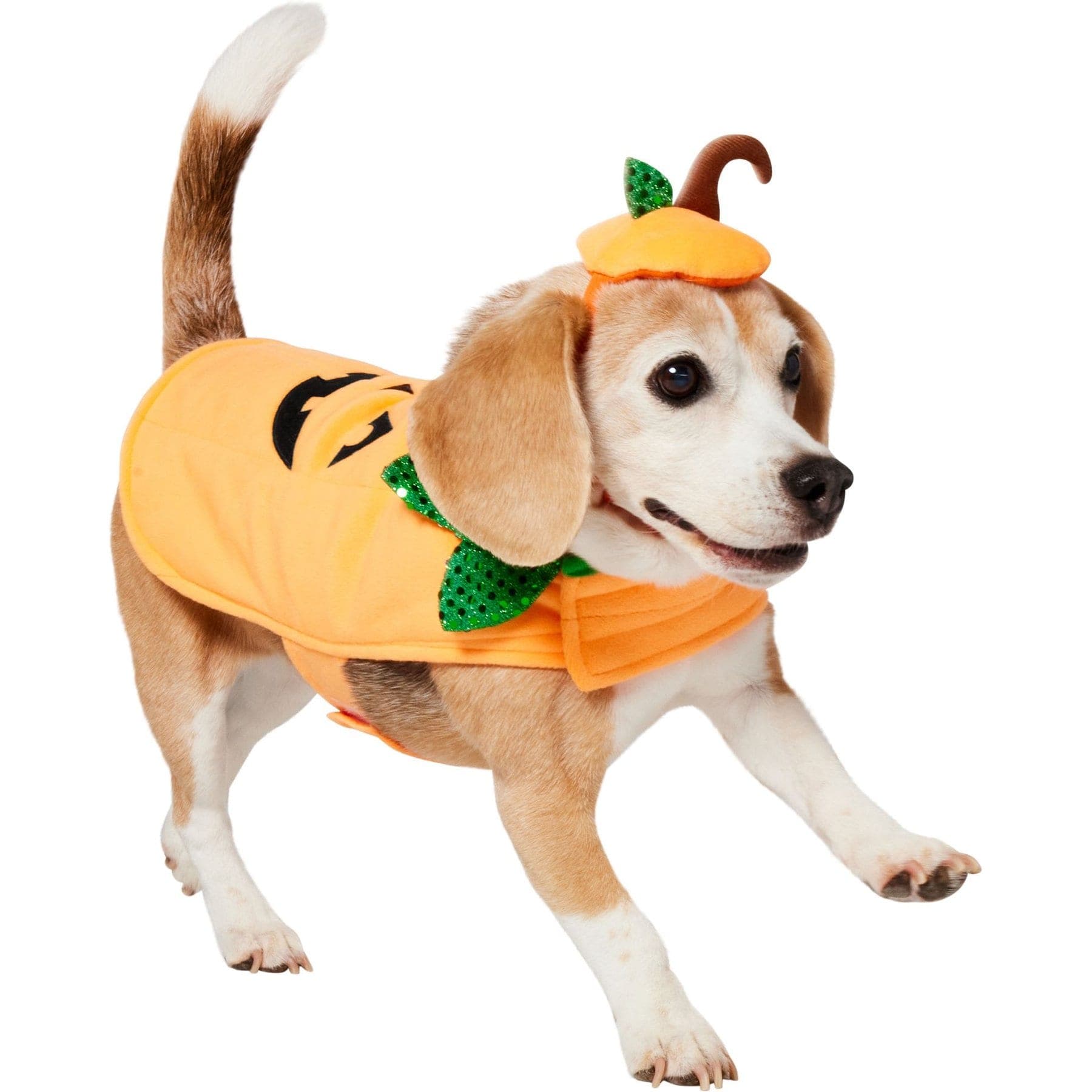 Frisco Pumpkin Dog & Cat Costume, Small