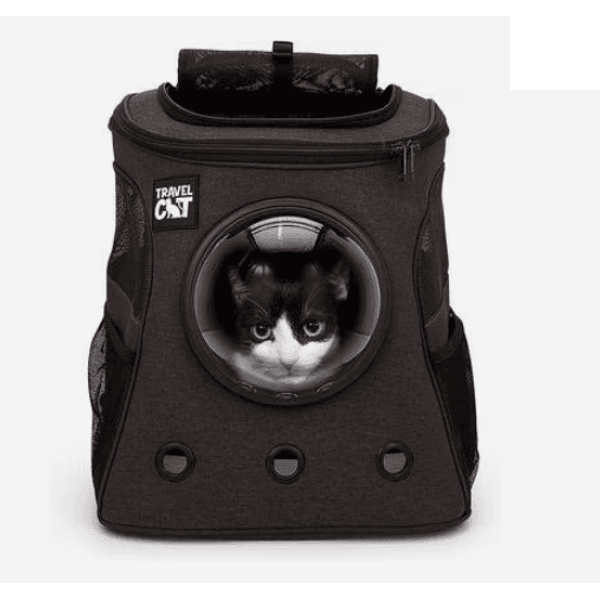 Travel Cat Fat Cat charcoal bubble backpack cat carrier
