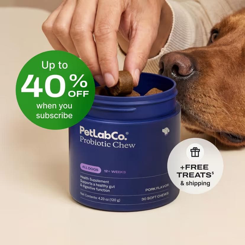 PetLab Co Probiotic Chew tub for dogs, pork flavor, 30 soft chews