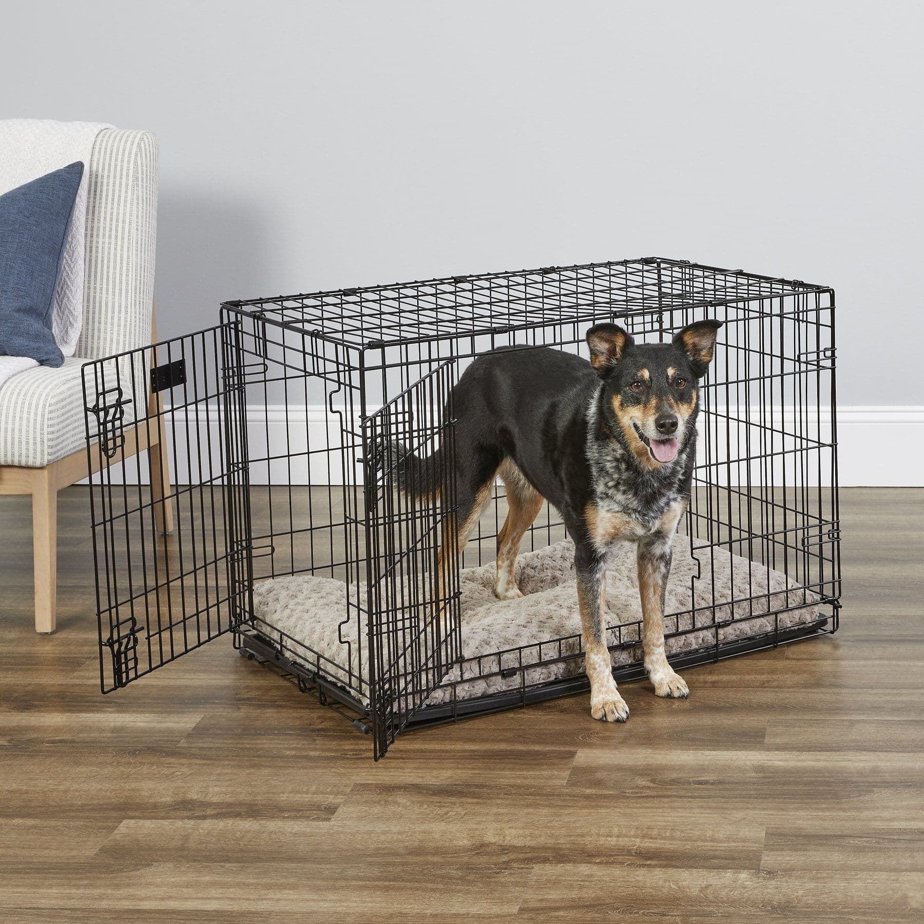 MidWest iCrate Double Door Fold & Carry Dog Crate, 36-in, 41 to 70-lbs