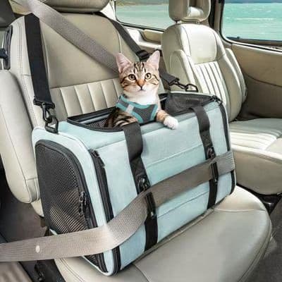 Petsfit airline-approved dog and cat carrier bag in cyan blue