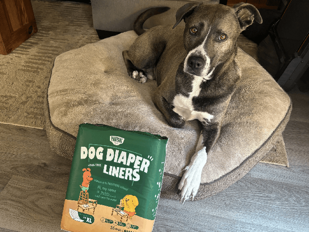 PAWPANG Extra Large (XL) dog diaper liners — 100-count, 16 fl oz absorbency