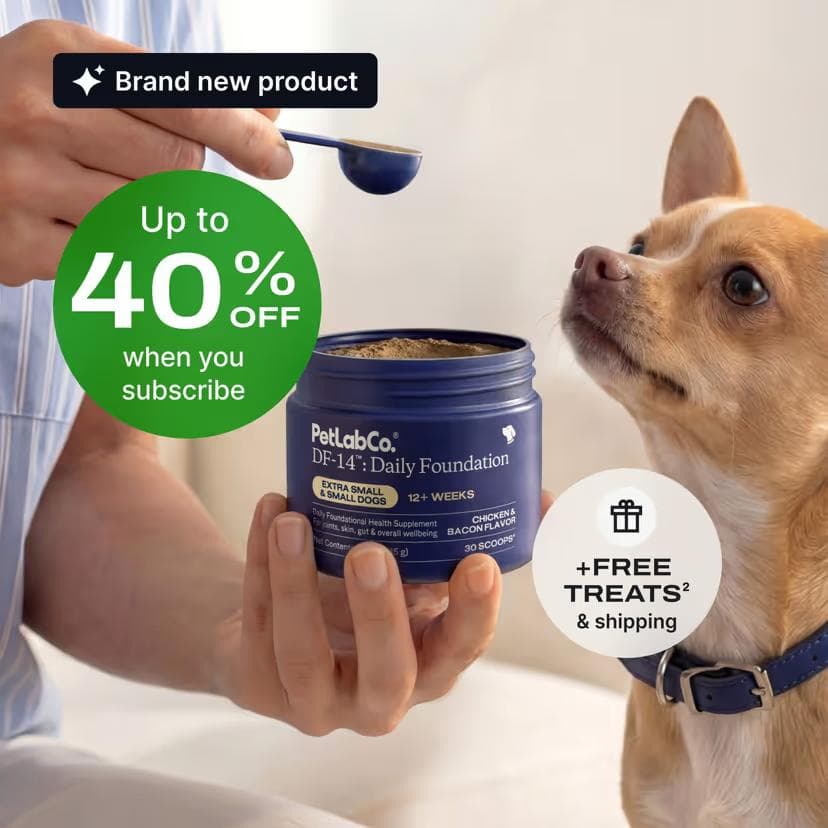PetLab Co DF-14 Daily Foundation powder tub for extra small and small dogs, chicken and bacon flavor, 30 scoops