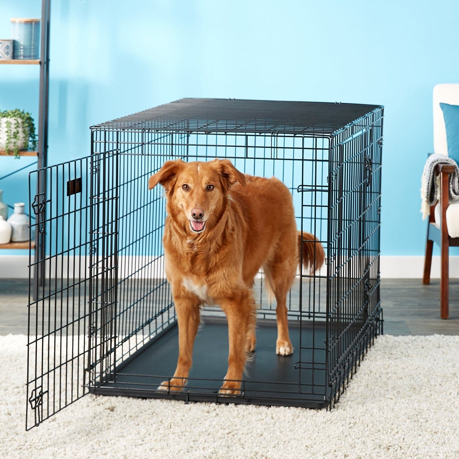 MidWest Ultima Pro Double Door Collapsible Wire Dog Crate, 43 inch