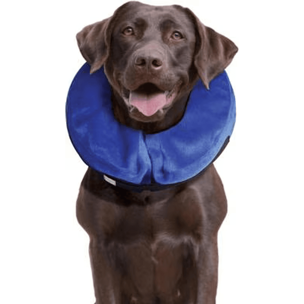 KONG Cloud Collar inflatable donut-style recovery collar for dogs and cats, blue
