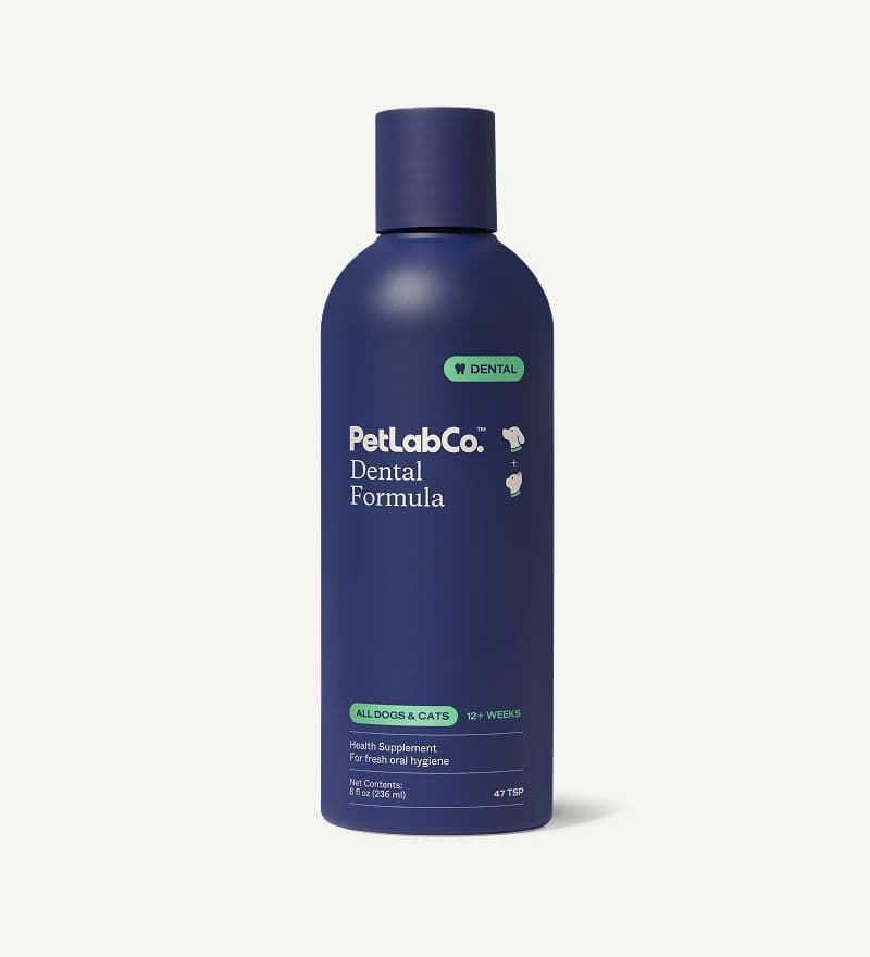 PetLab Co Dental Formula water additive bottle for dogs and cats, 8 fl oz, 47 servings