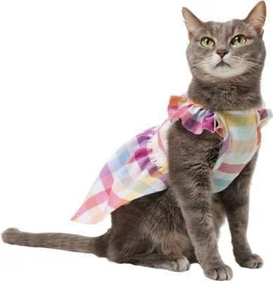 Frisco ruffle sleeve dog and cat dress in gingham on a gray cat
