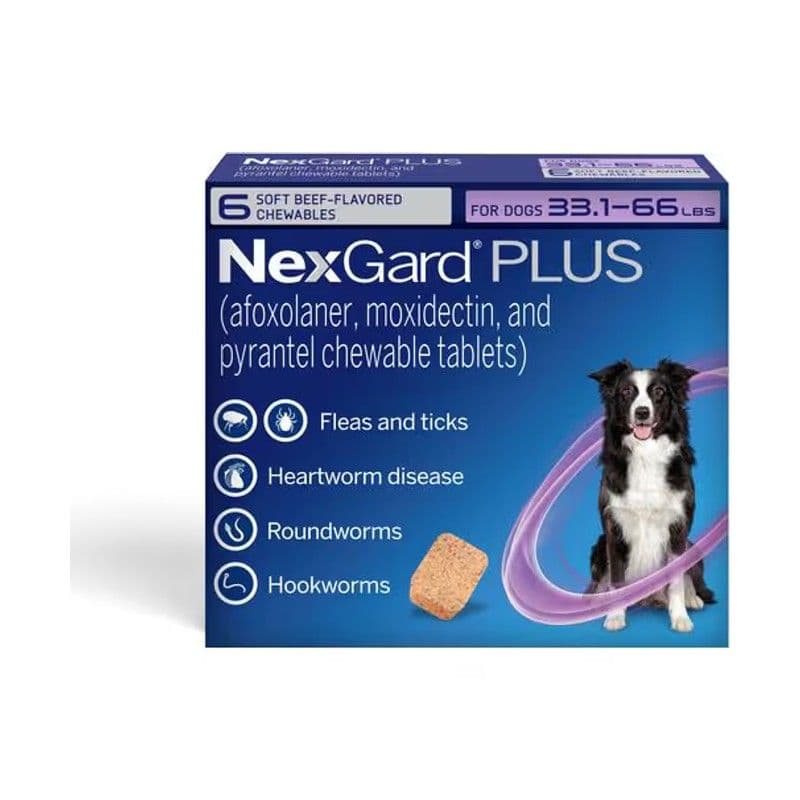 NexGard PLUS beef-flavored chewables for dogs 33.1 to 66 lbs, purple box, six month supply