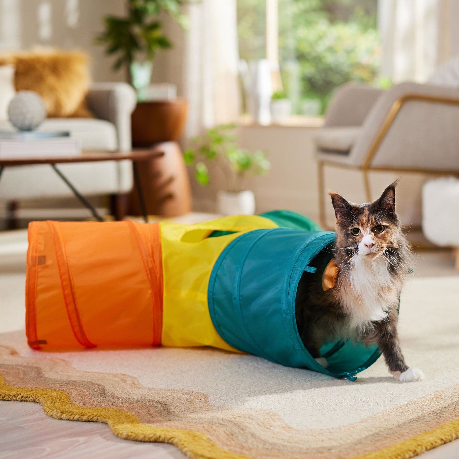 Frisco Foldable Play Tri-Tunnel Cat Toy, Warm Multicolor