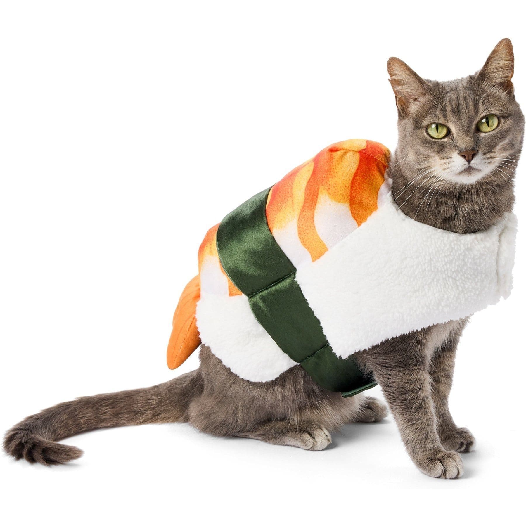 Frisco Sushi Dog & Cat Costume, Small