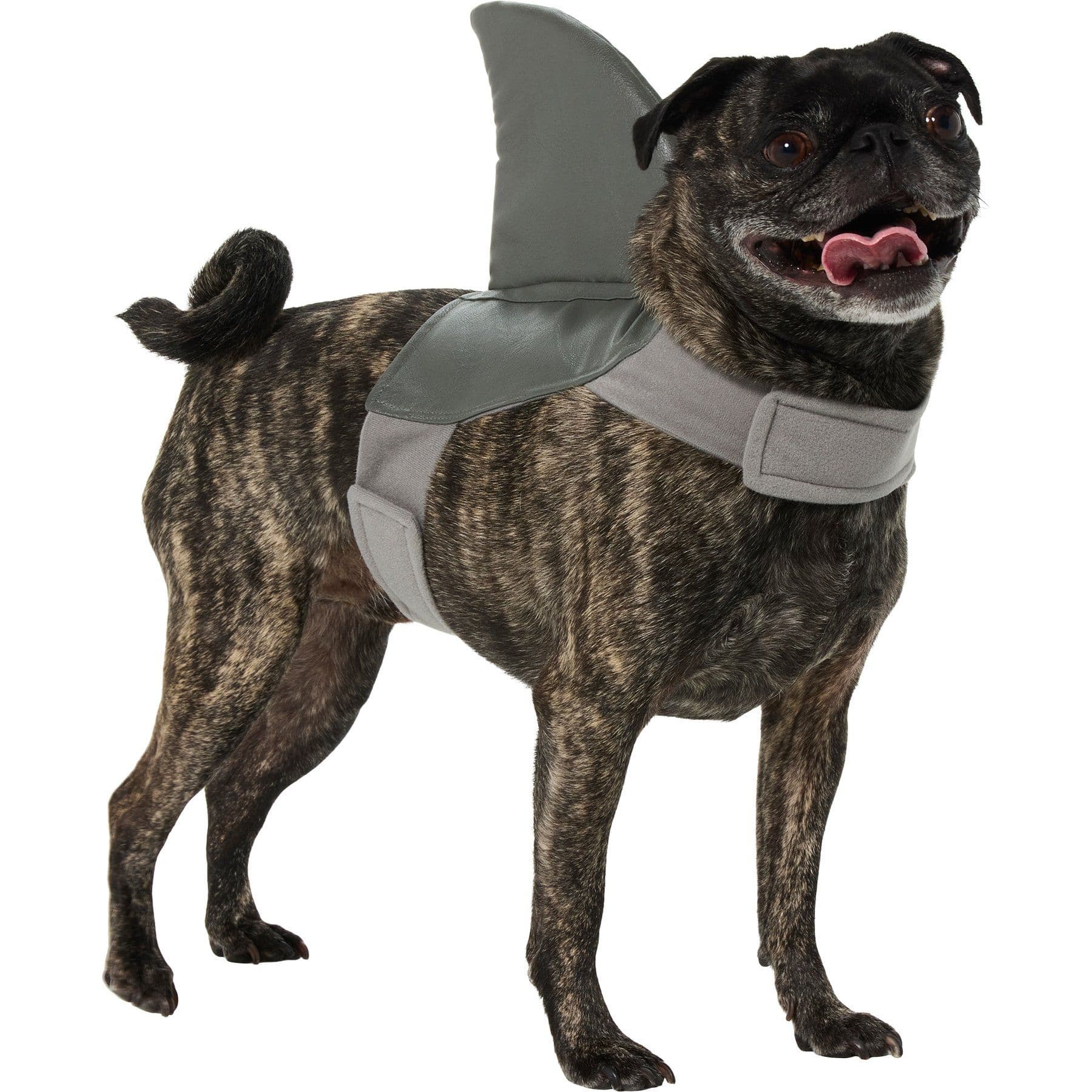 Frisco Shark Fin Dog & Cat Costume Accessory, Medium/Large