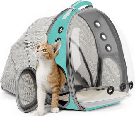 Halinfer green breathable bubble cat backpack carrier with clear front and expandable mesh back