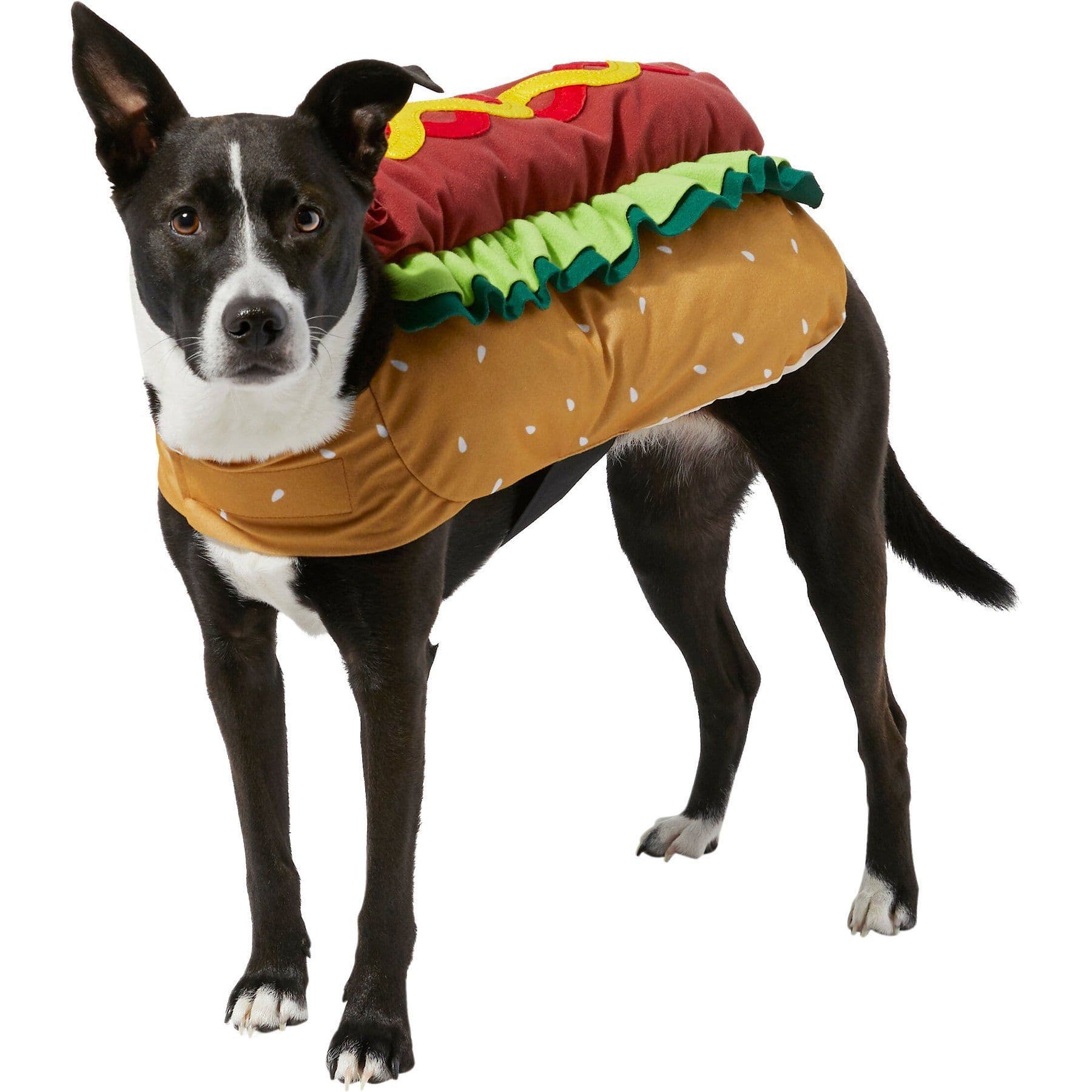Frisco Hotdog Dog & Cat Costume, Large
