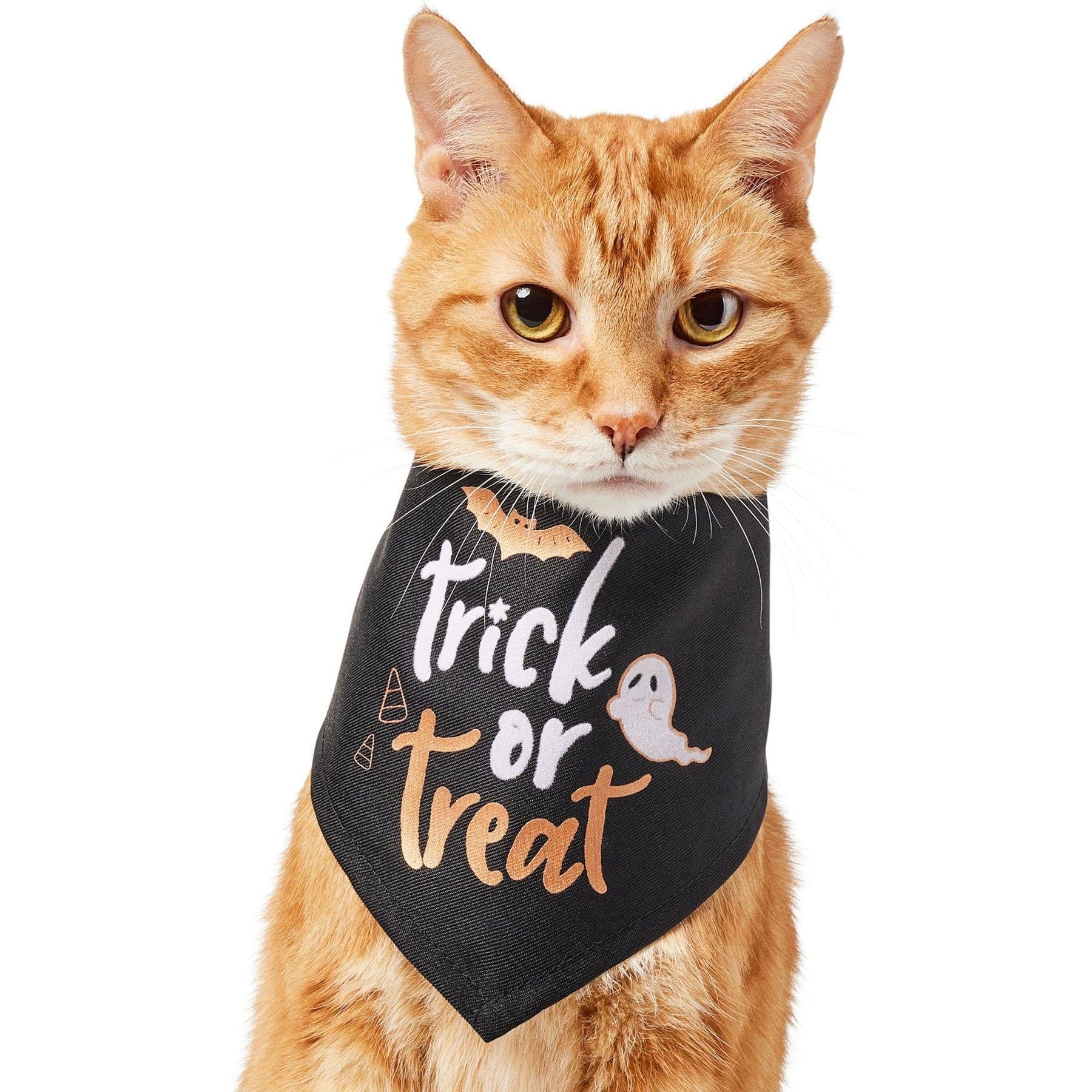 Frisco Trick or Treat Dog & Cat Bandana Costume, Halloween Black, X-Small/Small