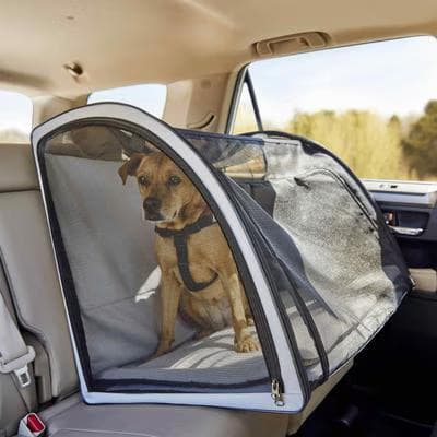 Frisco large travel safety dog and cat carrier secured on a car seat