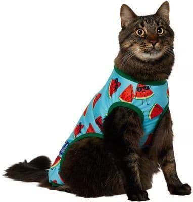 Frisco summer watermelon print dog and cat jersey pajamas on a tabby cat