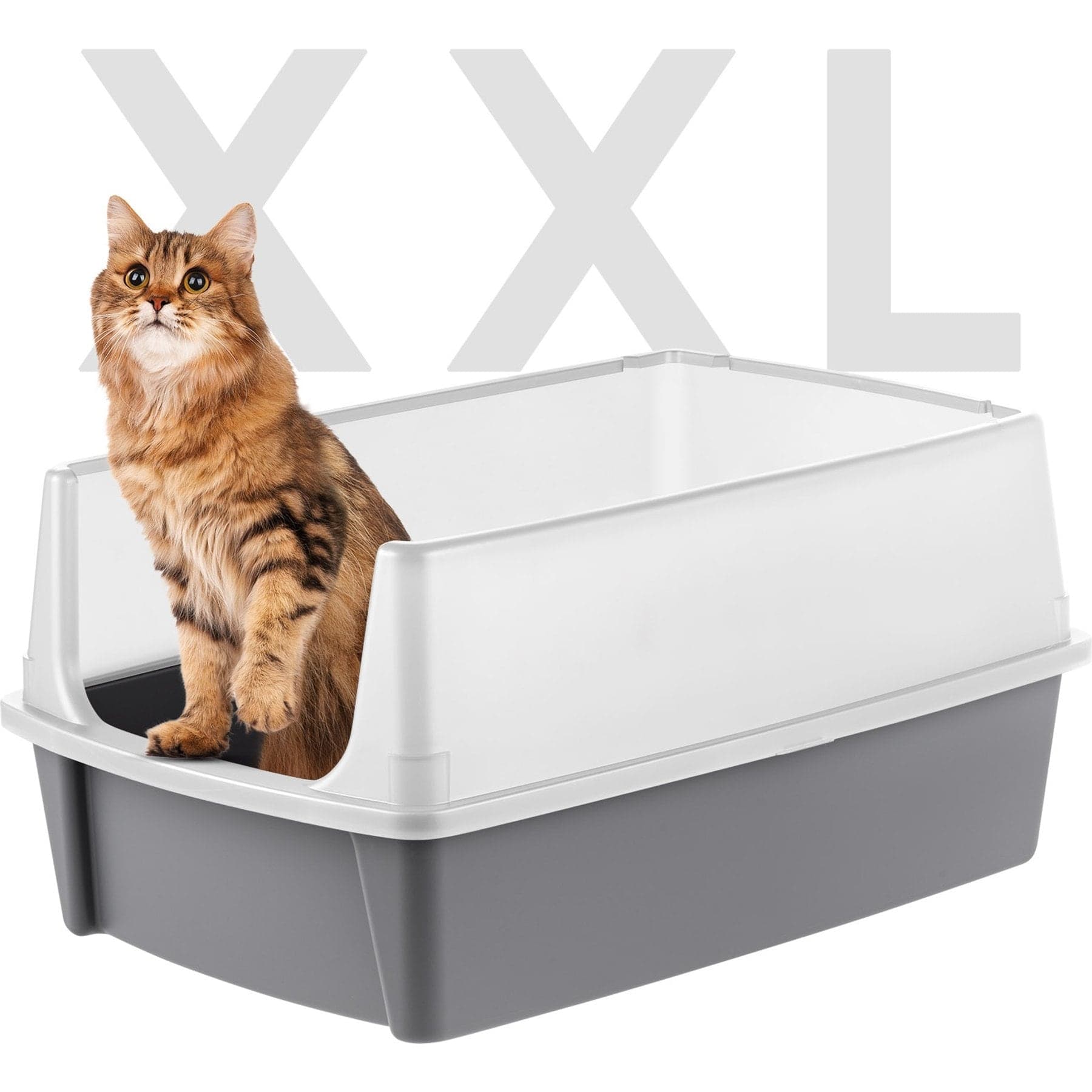 IRIS Open Top Cat Litter Box with Scatter Shield, XX-Large, Gray
