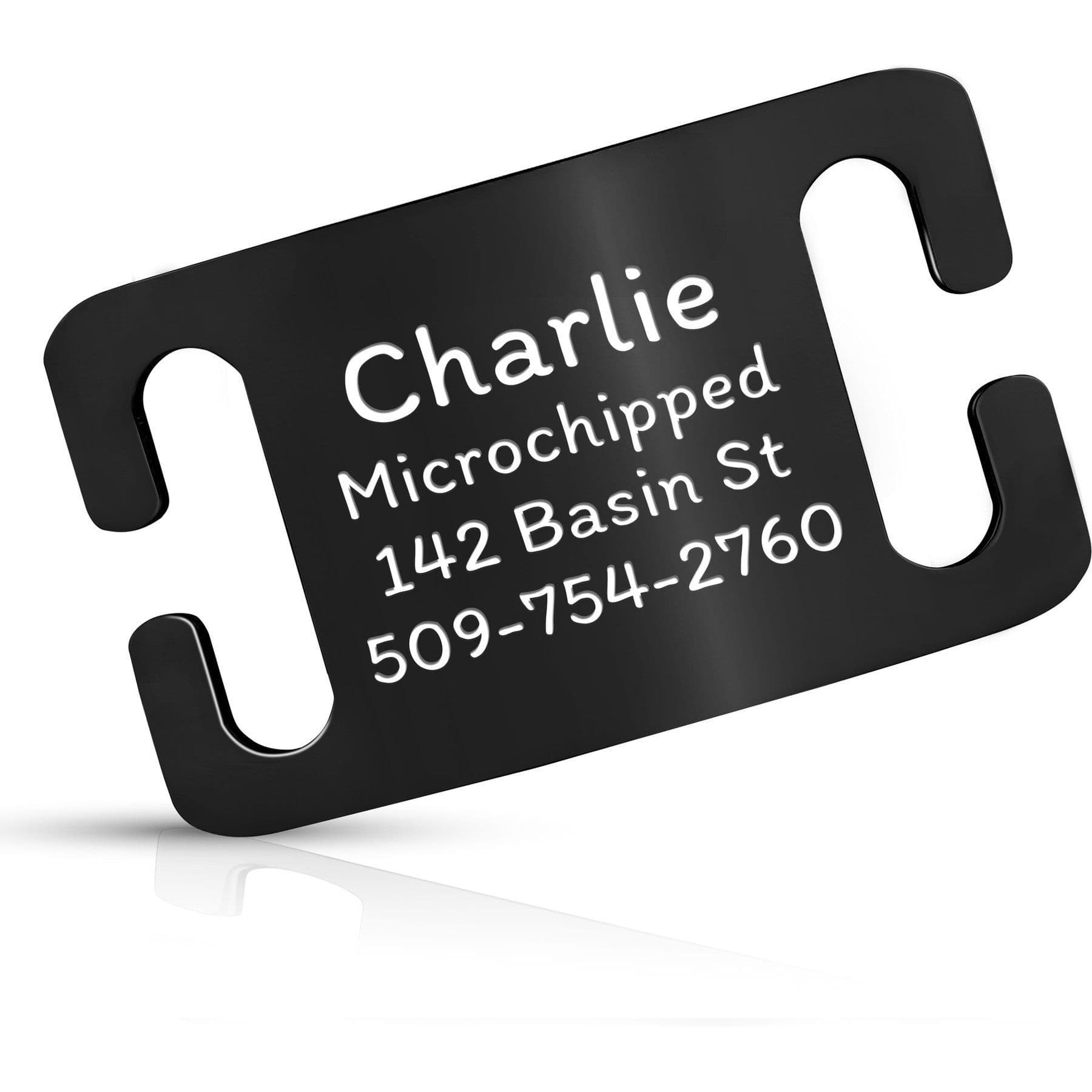 GoTags Personalized Polished Stainless Steel Nameplate Slide-On Dog ID Tag, Onyx, Small