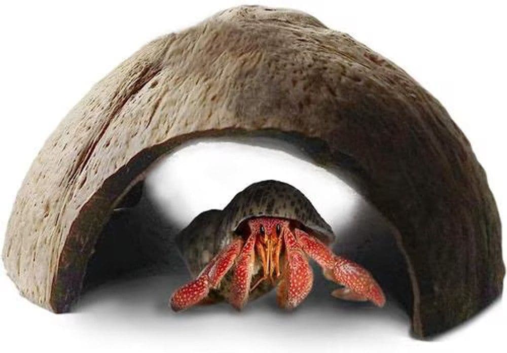 SunGrow coconut shell hideout for a crab terrarium