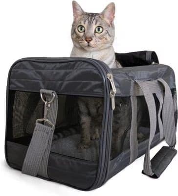 Sherpa Original Deluxe airline-approved dog and cat carrier bag in charcoal
