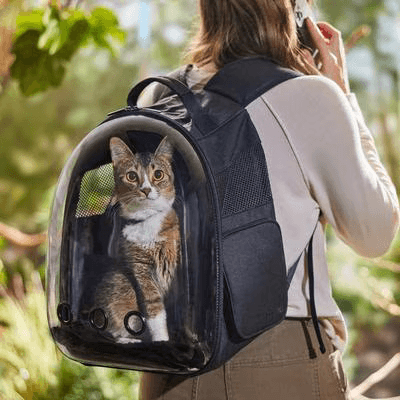 Frisco black bubble dog and cat backpack carrier worn on a walk