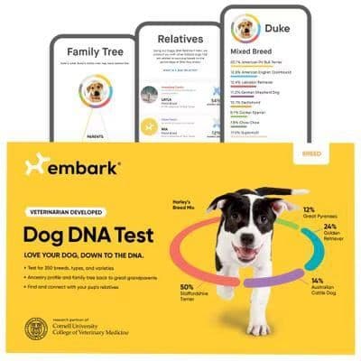 Embark Breed Identification Dog DNA Test Kit box