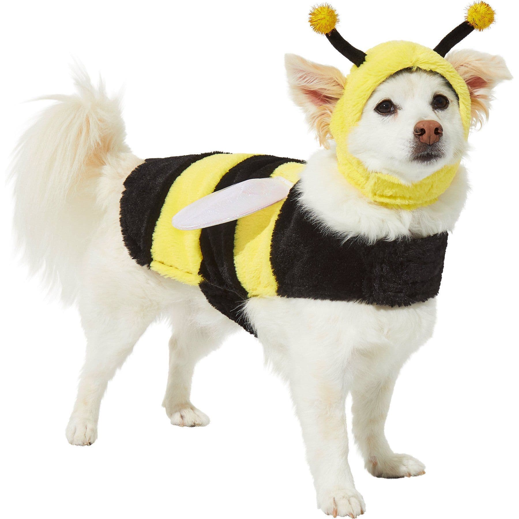 Frisco Bumble Bee Dog & Cat Costume, Medium