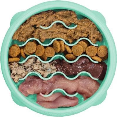 Outward Hound mint non-skid plastic slow feeder dog bowl with wave pattern