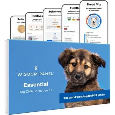 Wisdom Panel Essential Dog DNA Test box